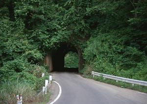 アフタフォロー万全の販売店です