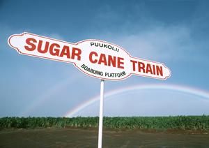 【2026年最新版】車検見積もりのポイントと比較術で賢く節約！徹底ガイド