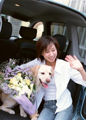 法人ガソリンカードをお探しなら