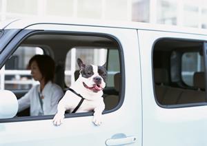 大切な車の車検を任せられるサービスは