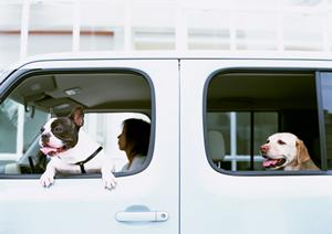 廃車買取はゴーイングゴーイングへ