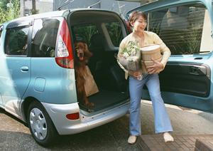 福岡市の車買取・中古車販売カーチス福岡西：高品質な中古車と信頼のサービスを提供